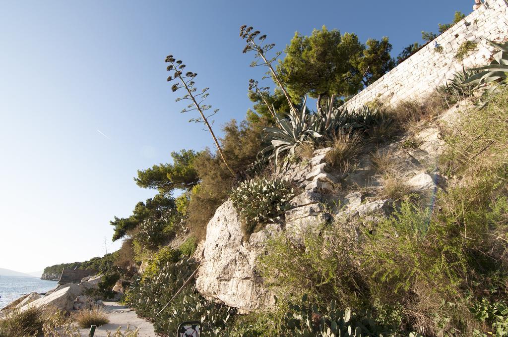 Poolside Paradise - A Hidden Gem In Split Exteriör bild